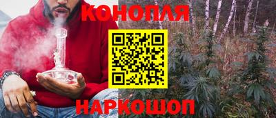молекула духа Заволжье