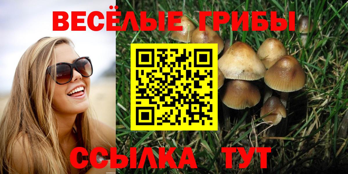 Мирный  Псилоцибиновые грибы Psilocybe  Вход с VPN 