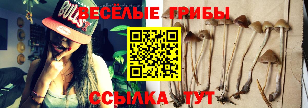 Псилоцибиновые грибы MAGIC MUSHROOMS Мирный
